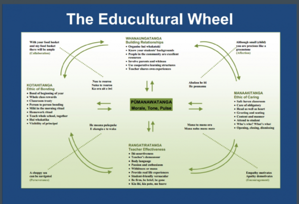 The Educultural wheel