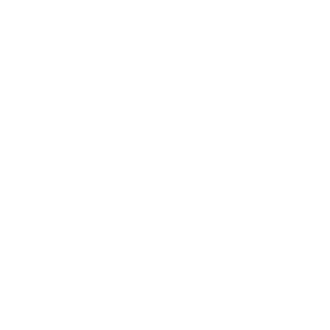 newzealand icon